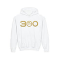 Bop Diva 300 Youth Hoodie